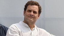 Companies defining politics: Rahul Gandhi breaks silence on Twitter lock-out