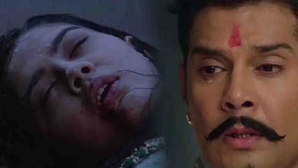 Molkki Episode spoiler; Purvi की मौत की खबर सुन फूट-फूटकर रोया Virendra | FilmiBeat