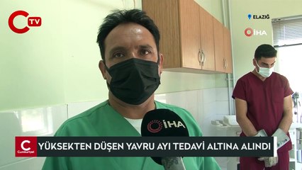 Yaralı yavru ayı tedavi altına alındı
