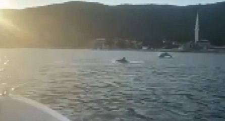 Müsilaj temizlendi, Gemlik’i yunuslar bastı