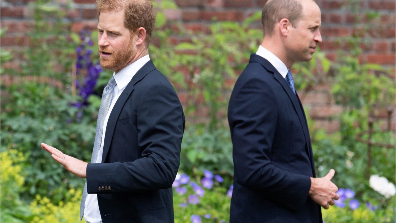 Prince William and Prince Harry have not still reconciled despite joint appearances (1)