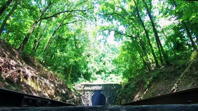 traveling across europe by train _ train-traveling _ hi-speed-train _ vegetation _ _Musafir 15