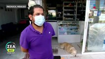 Perrito es contratado como jefe de seguridad en una farmacia de Pachuca