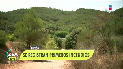 Lluvias lograron calmar incendios en Grecia