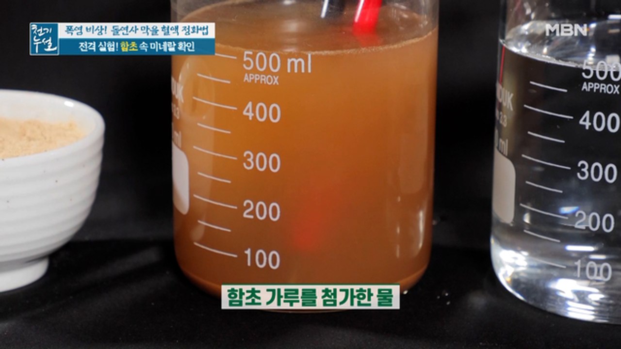 함초의 풍부한 영양소! 함초 속 미네랄 확인 실험