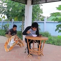 diprank singa mainan