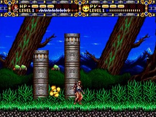 Alisia Dragoon online multiplayer - megadrive