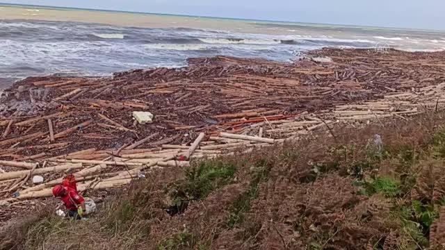 Ayancık sahilinde arama kurtarma çalışmaları