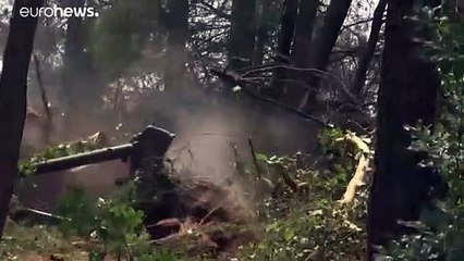 100.000 Hektar Wald in Griechenland verbrannt