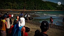 CARABAO RACING IN MY PROVINCE Of ORIENTAL MINDORO