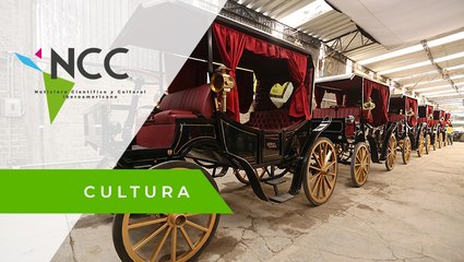 República Dominicana acaba con las calandrias jaladas por caballos