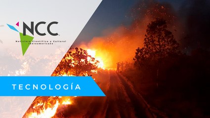 Aumentan incendios 2.6% en la Amazonía brasileña