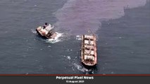 PPN World News Headlines - 13 Aug 2021 | UK Shooting | Taliban Takes Kandahar | Cargo Ship Splits