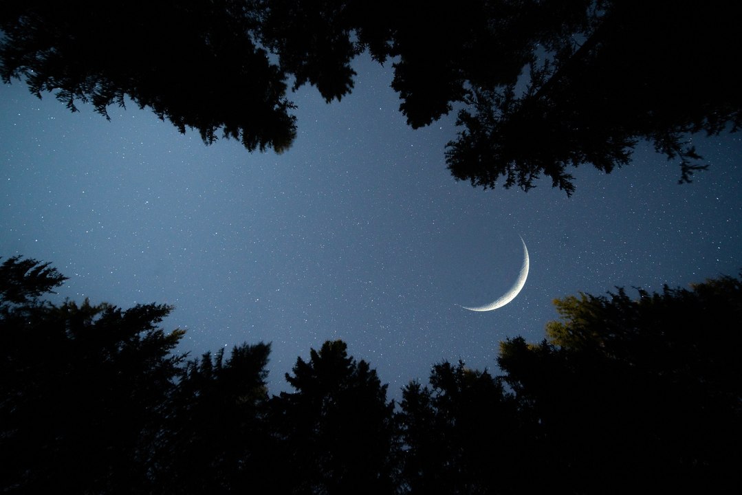دبي بوست في رمضان 2021