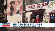 US becoming more diverse, new census data shows