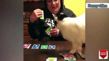 funny video -  beautiful video - damaged goods - broken things  - funny fails