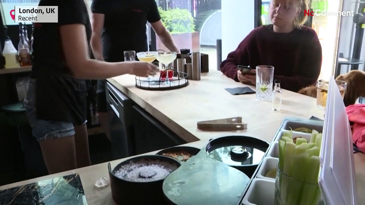 Wo Herrchen auf den Hund kommt: Cocktails für Zwei- und Vierbeiner