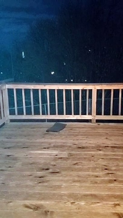 Comment faire taire une meute de coyotes...