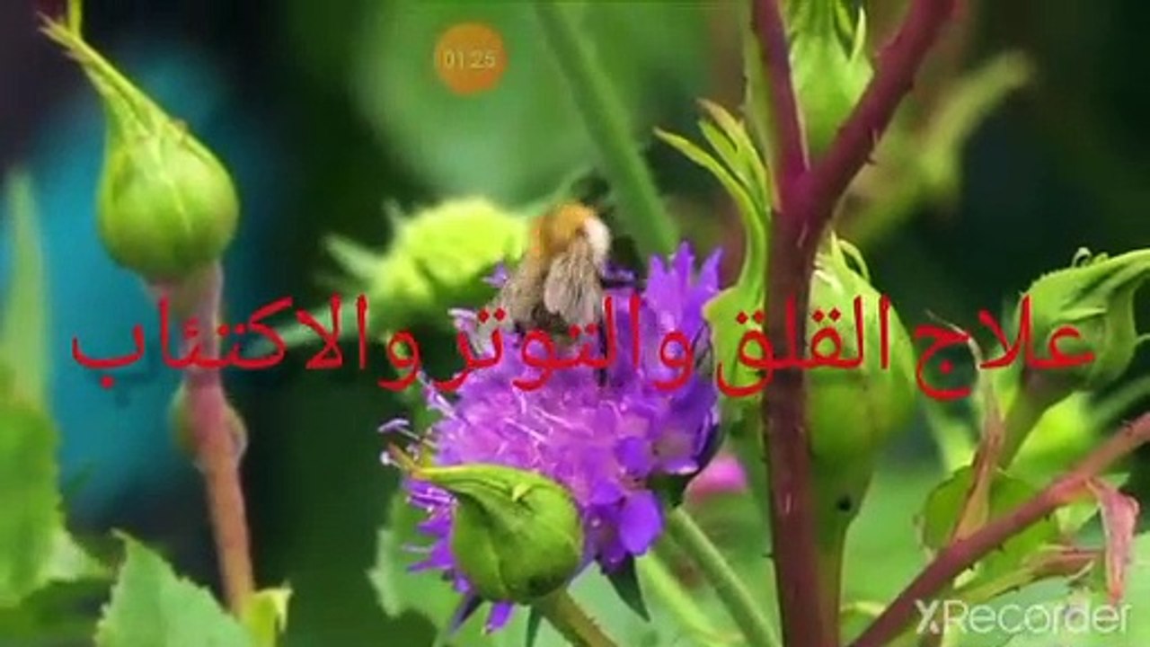 نقي قلبك دعاء القوة دواء هذا الزمان دعاء النبي صلى عليه وسلم