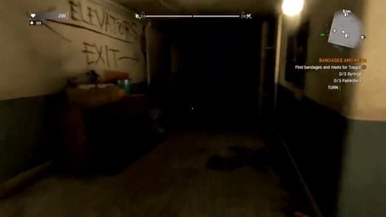 Dying Light - Maximum Level Night Chase (HD)