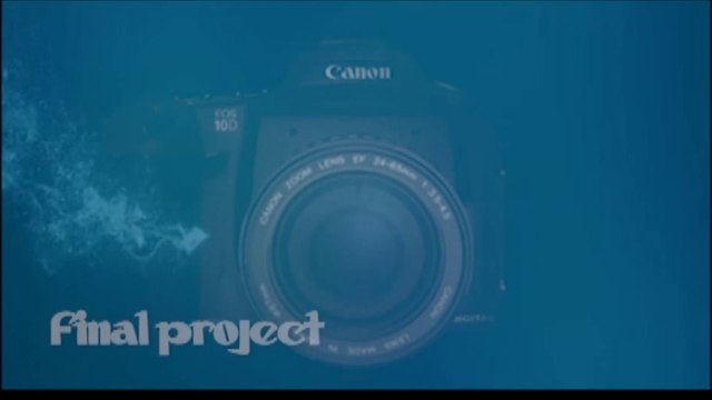 DSLR Camera Graphic Illustration Video｜Canon