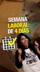 La semana laboral de 4 días funciona: Islandia lo probó y fue todo un éxito