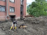 Sel bölgesinden yürek sızlatan kare! Olası ölüleri bulmak için kadavra köpekleri çalışıyor