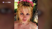 Padre de Britney Spears renunciaría a seguir siendo su tutor