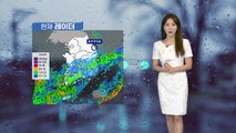 [날씨] 주말, 충청 이남 비...영동·제주 100mm↑, 중서부 소나기 / YTN