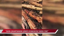 Ayancık'ı tomruk inadı bu hale getirdi