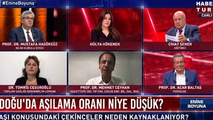 "Hızlı geliştirildi" eleştirisine Mehmet Ceyhan'dan ilginç cevap: Pandemi bittikten sonra yapılan aşının bir etkisi olmaz