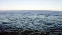 GoPro Aerial Shot Of Calm Blue Sea _ Video No 19 _ Drone Shots