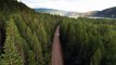 GoPro Shoot Of A Road In The Middle Of A Forest _ Video No 14 _ Drone Shots