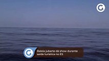 Baleia jubarte dá show durante saída turística no ES