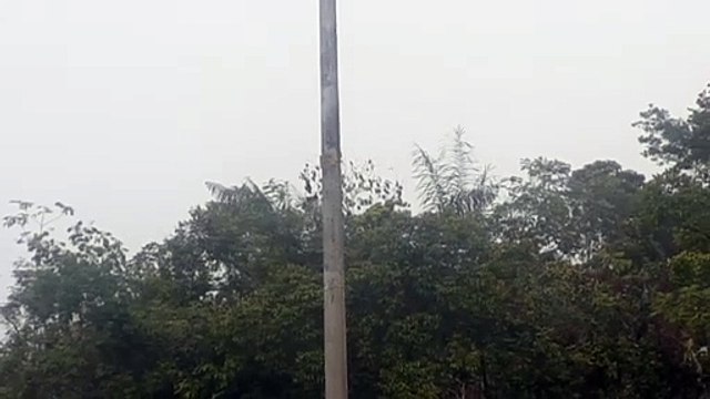 Airbus A320 PR-MYZ na aproximação final antes de pousar em Manaus vindo de Guarulhos