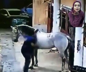 عصر الفروسيه يعود بقوه من جديد