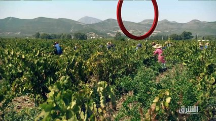 العمر المديد