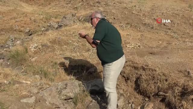 Muş'ta 35 milyon yıllık deniz canlısı fosillerine rastlandı