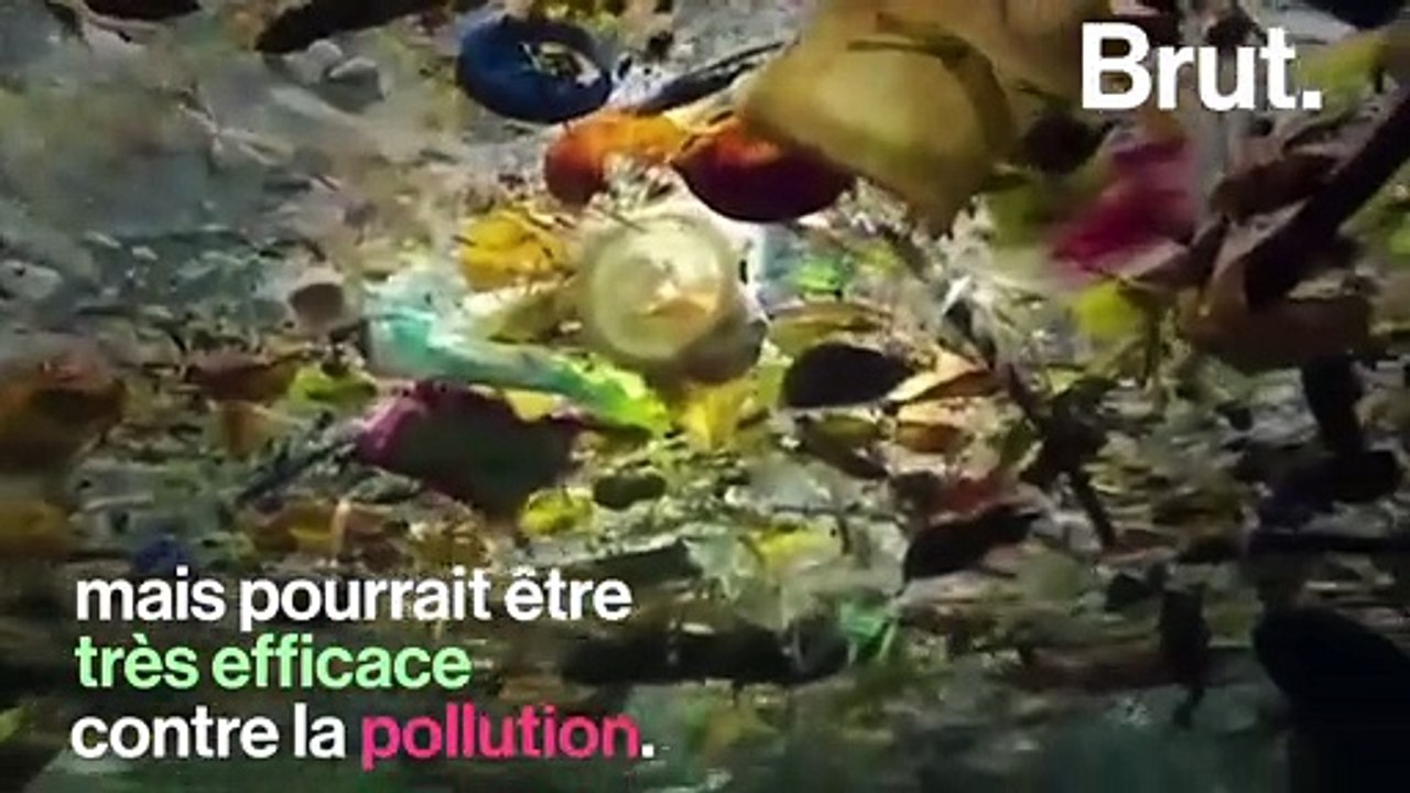 Le shampoing solide, une alternative écolo au s...
