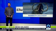 Scientists discover wooly mammoths could traverse incredibly long distances