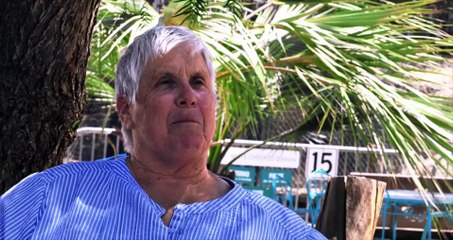 THE CENTER GIBBONS AND GUARDIANS Movie