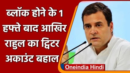 Rahul Gandhi Twitter: राहुल गांधी का Twitter Account एक हफ्ते बाद बहाल | वनइंडिया हिंदी