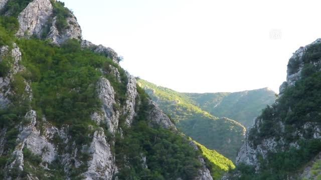 Arnavutluk'un 'çiçek açan' endüstrisi: Tıbbi ve aromatik bitkiler