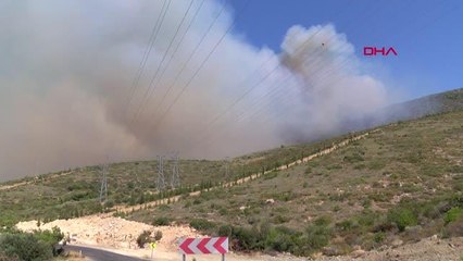 ÇEŞME'DE ORMAN YANGINI