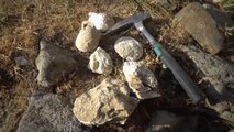Muş'ta 35 milyon yıllık olduğu düşünülen deniz canlısı fosilleri bulundu