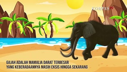 Serba-serbi Gajah, Mamalia Darat Terbesar yang Jago Berenang
