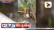 Lalaki na taga-Palawan, nakalikha ng hydroelectric-powered generator mula sa recycled materials