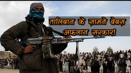 Taliban के आगे ताश के पत्तों की तरह बिखर रही अफगान सरकार! जानें समय के साथ कैसे ताकतवर हुआ ये संगठन