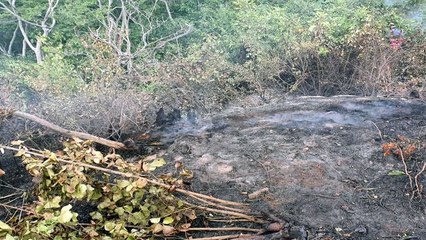 인천 문갑도에서 또 산불..."진화 뒤 불씨 남아" / YTN