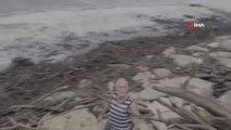 Vatandaşlar, selin etkili olduğu Kastamonu'da sahile vuran odunları topluyor